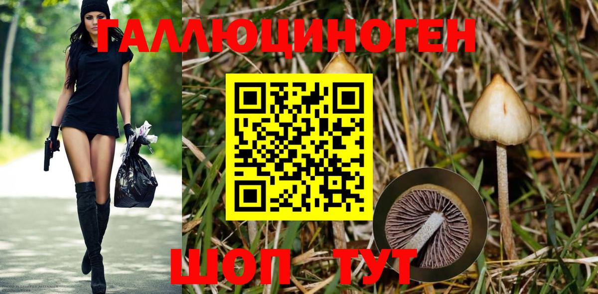 Урюпинск  Галлюциногенные грибы Cubensis  магазин  наркотиков  Вход с VPN 